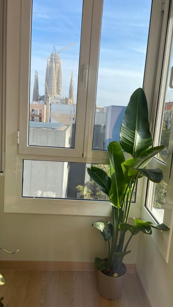 The View Of Sagrada Familia Barcelona