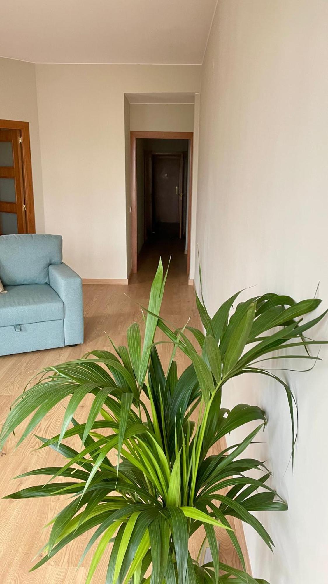 The View Of Sagrada Familia Apartment
